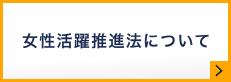 女性活躍推進法について